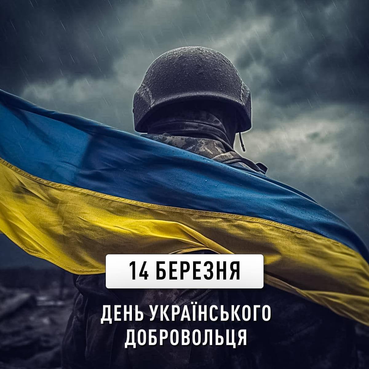 Сьогодні, 14 березня, Україна вшановує добровольців!