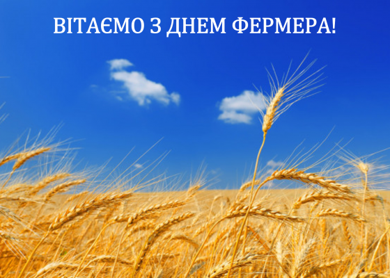 Щорічно, 19 червня, в Україні відзначають День фермера