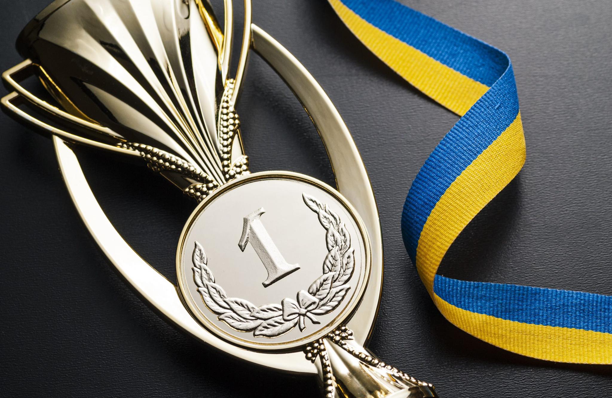 У Стрийській міській раді діють програми для заохочення та підтримки талановитої молоді