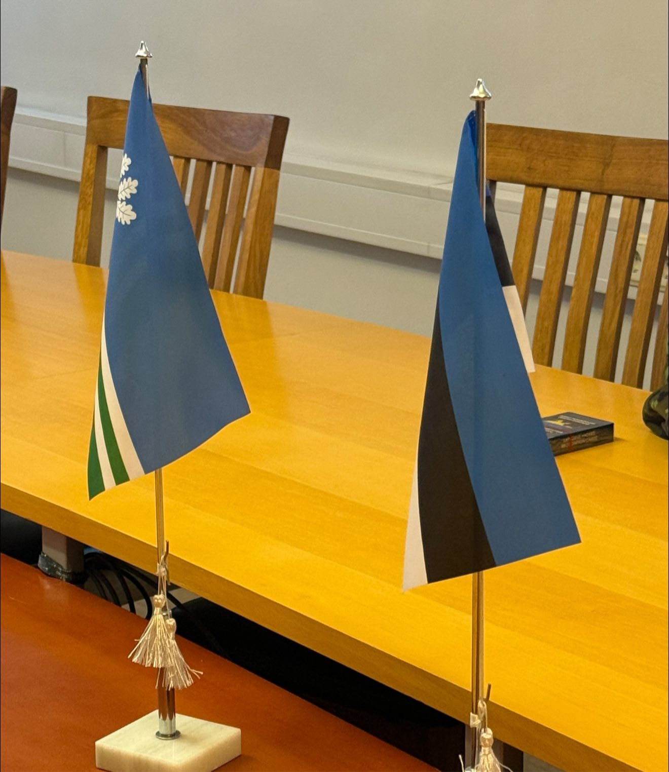 Стрий продовжує зміцнювати міжнародні зв’язки, що є стратегічним інструментом у часі війни і особливо після неї