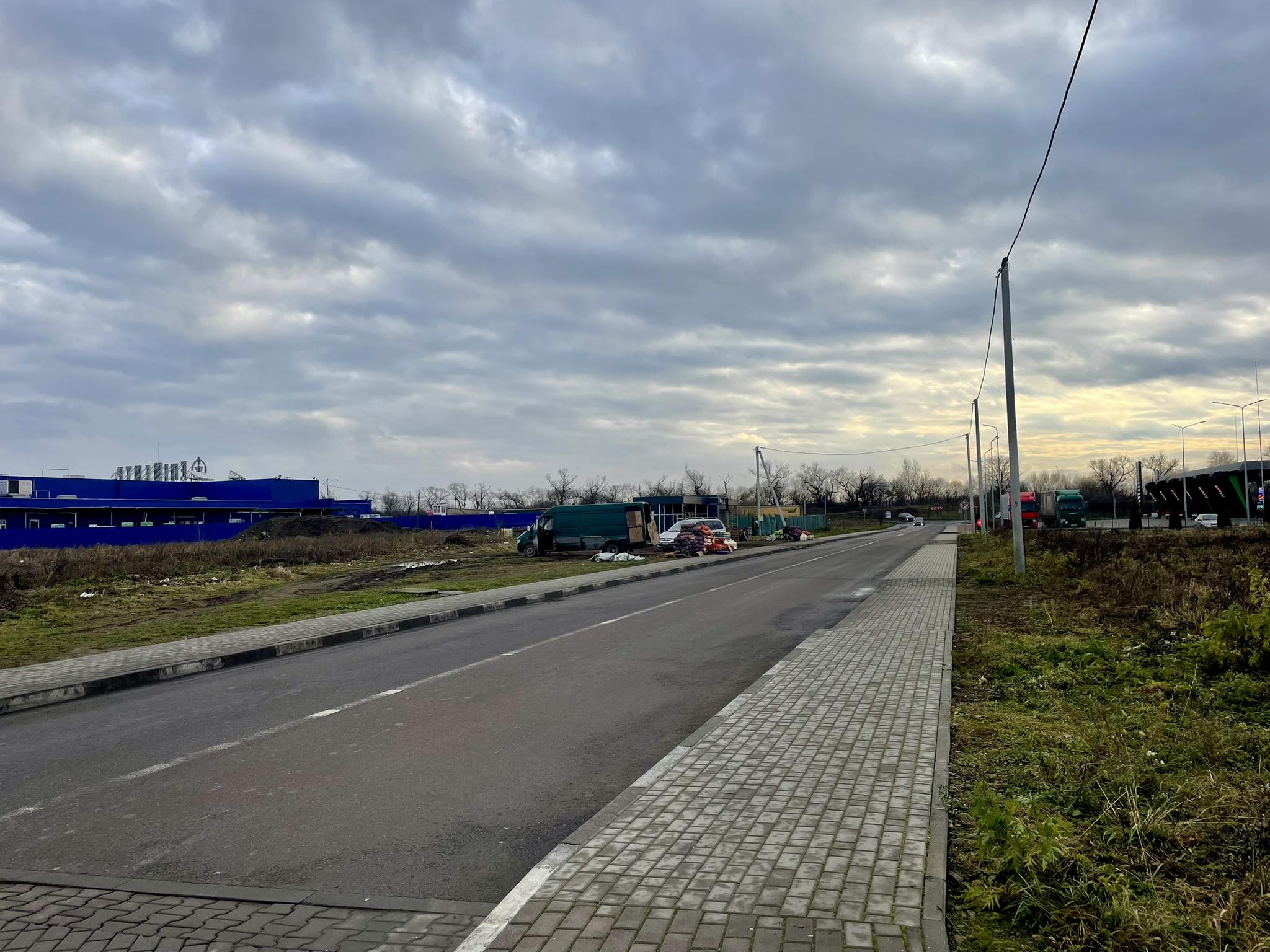 У Стрию визначили нову локацію для продажу новорічних ялинок