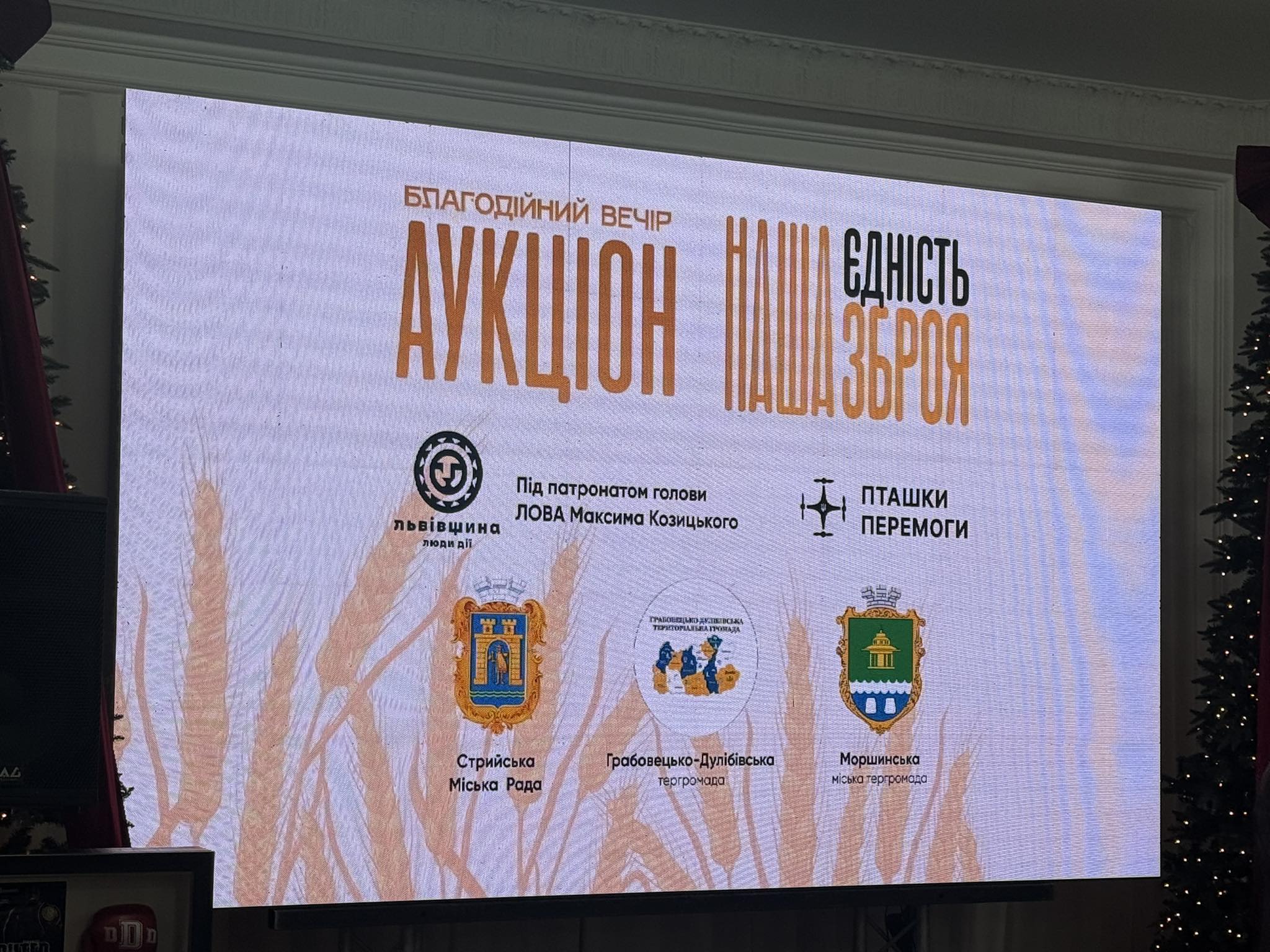 Благодійний проєкт «Пташки перемоги» під патронатом голови Львівської ОВА Максима Козицького знову у Стрию!