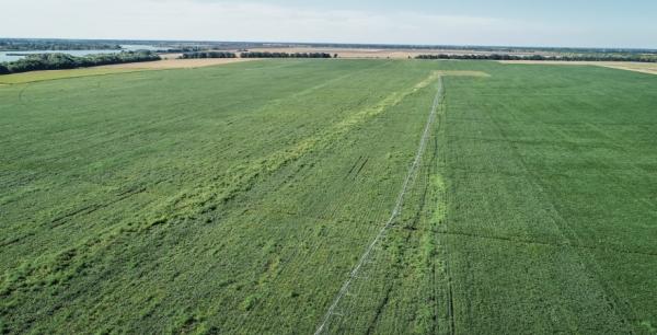 Круглий стіл: «Проблемні питання земель постійного користування фермерських господарств»