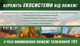 Пожежі в природних екосистемах