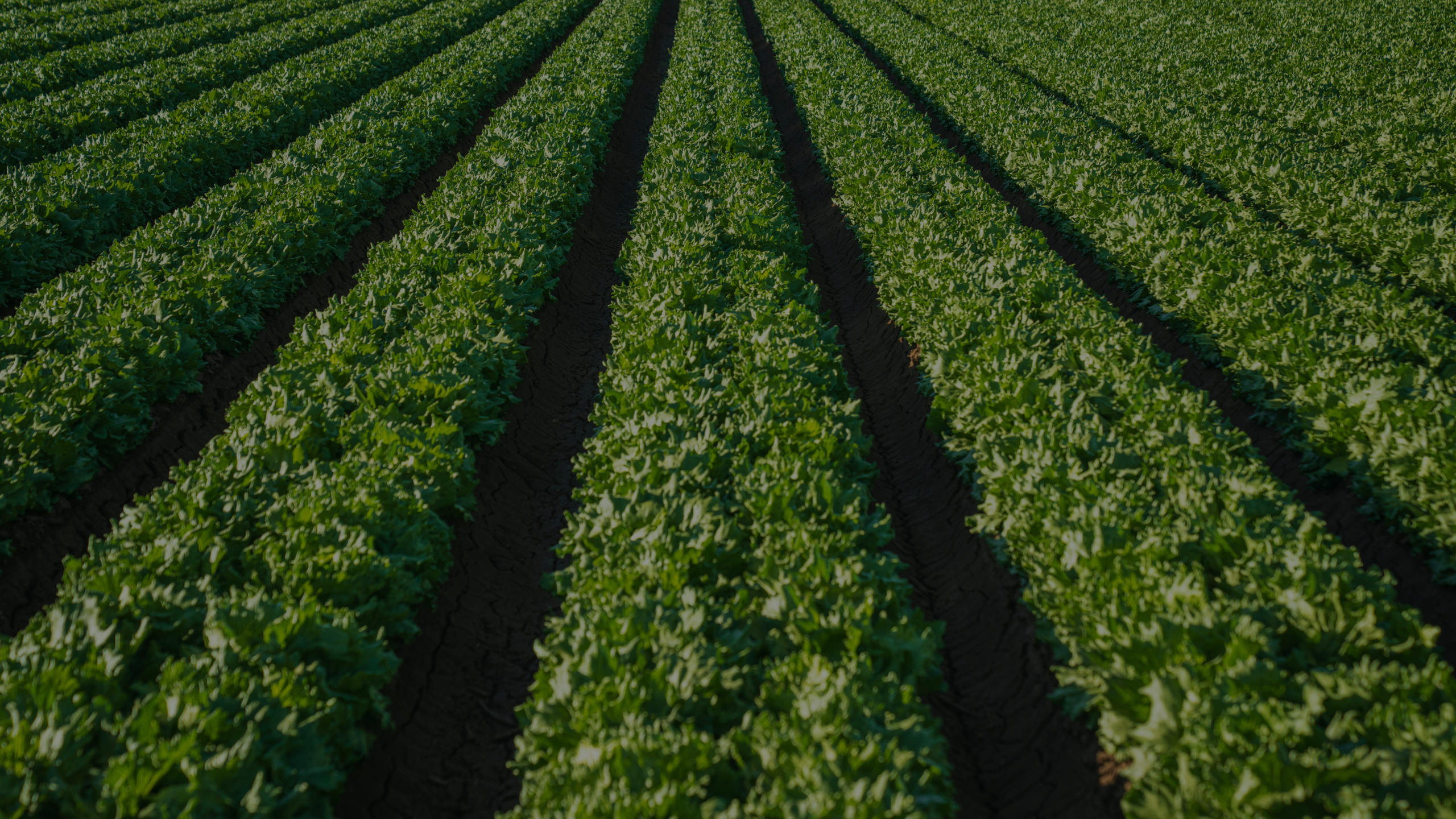 Кредитуння фермерських господарств