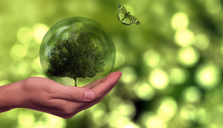 Інформування про видачу висновку з оцінки впливу на довкілля планованої діяльності