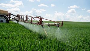 Обприскування посівів озимої пшениці