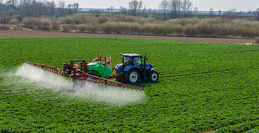 Обприскування посівів озимого ріпаку
