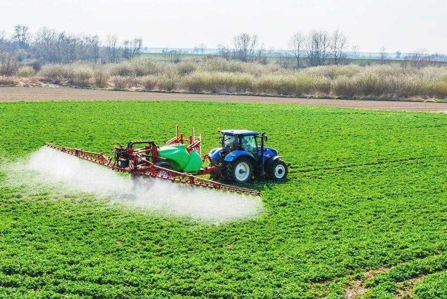 Обприскування озимого ріпаку